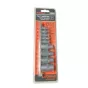 39829 Набор головок TORX 9пр.Е4-Е16 1/2,1/4 на планке (АД)