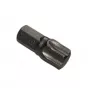  Бита Torx T60 шестигранная 10мм L=30мм (Airline)