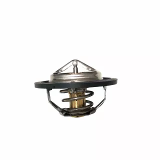 00108-01-1306100-000 Термостат 80 Бизнес УМЗ, ПАЗ с ЗМЗ, ГАЗ-53,3309 (BAST)
